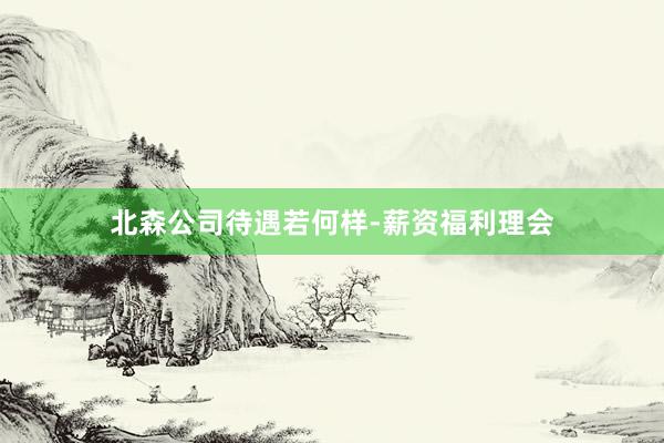 北森公司待遇若何样-薪资福利理会