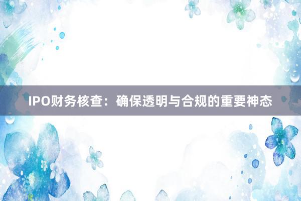 IPO财务核查：确保透明与合规的重要神态